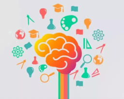 Principais Etapas da Avaliação Neuropsicológica