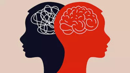 Quem Deve Fazer uma Avaliação Neuropsicológica?
