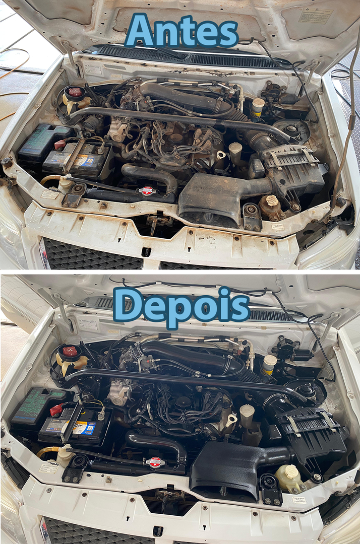 Higienização de Motor | Antes e Depois