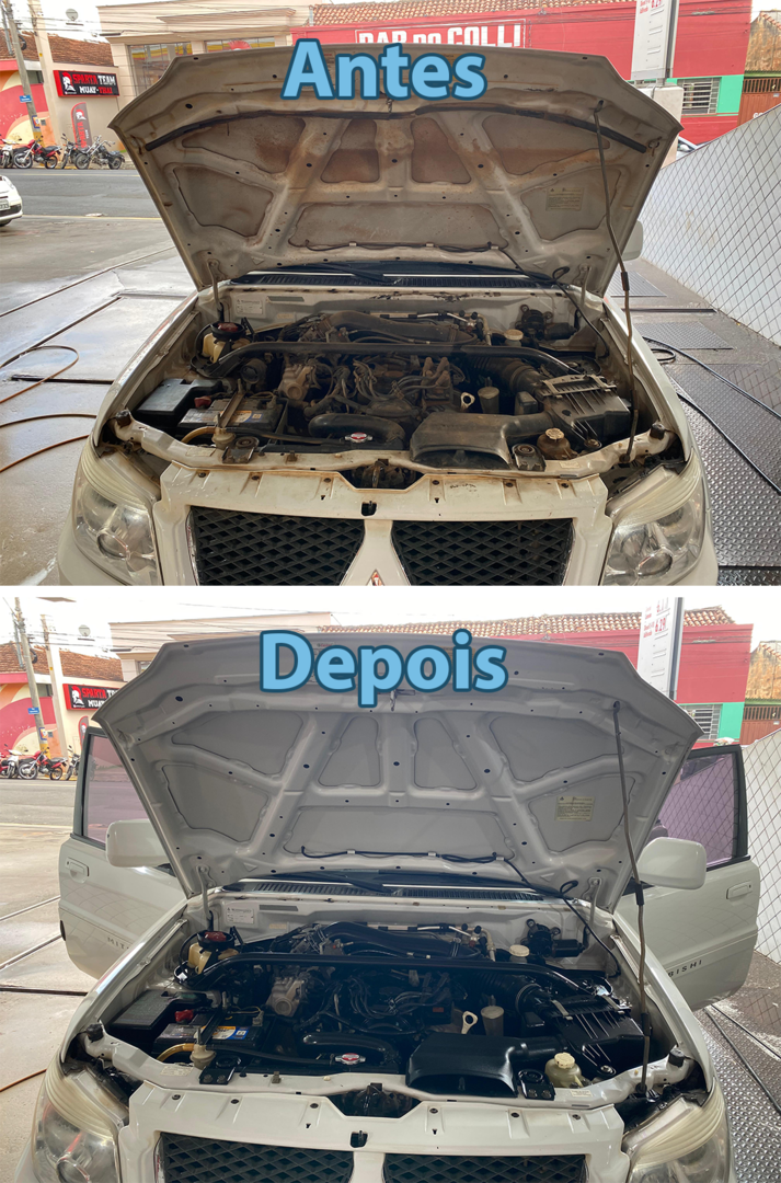 Higienização de Motor | Antes e Depois