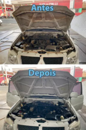 Higienização de Motor | Antes e Depois