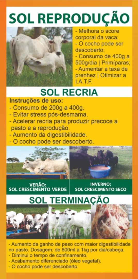 Sol Reprodução