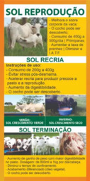 Sol Reprodução