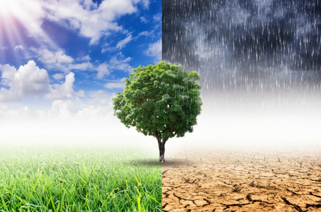 Nutrição Líquida em Qualquer Clima