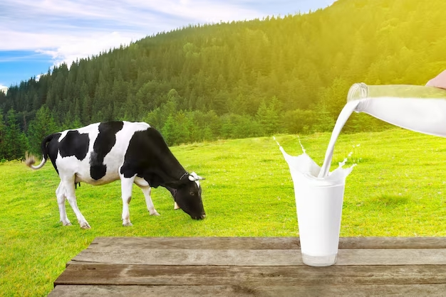 Mais Leite com Menos Consumo – Sol Vaca de Leite