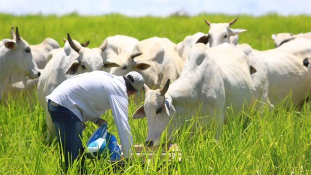 Potencialize seu Pasto com Sol Ração Líquida