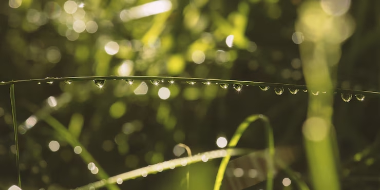 Chuva ou Sol: Suplementação Sem Interrupção