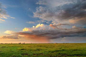 Sol Ração Líquida: Nutrição Estável, Chuva ou Sol