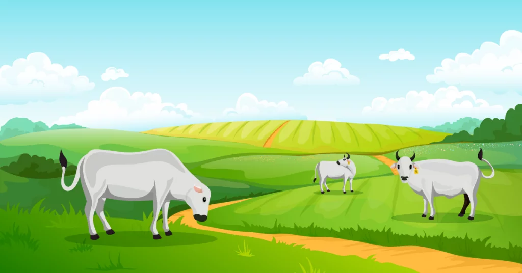 Ração Líquida: Tecnologia que Valoriza Seu Pasto