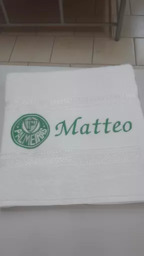 Toalha Do Palmeiras