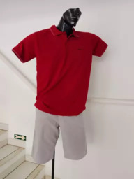 Camisas Polo e Bermudas