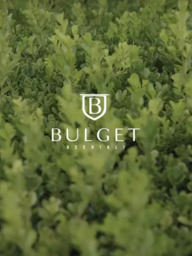 Grife Bulget Occhiali