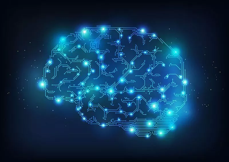 Conexões Cerebrais