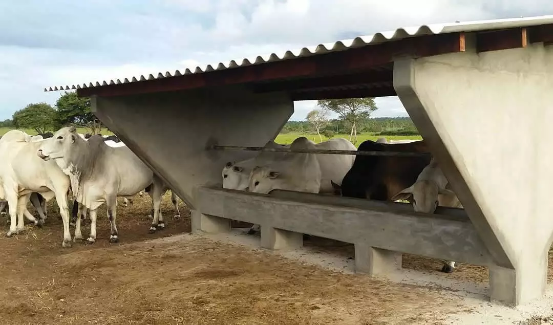 Tecnologia Líquida: Mais Absorção, Menos Desperdício