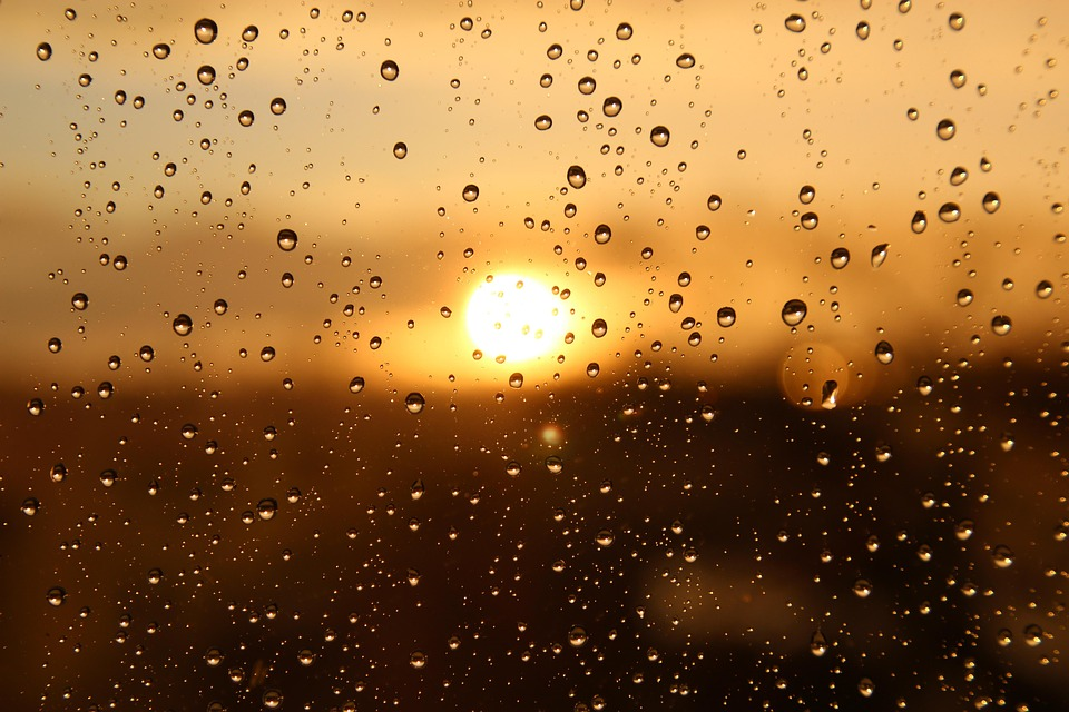 Sol Ração Líquida – Nutrição de Alta Performance em Qualquer Estação