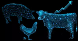 Tecnologia Líquida x Ração Sólida