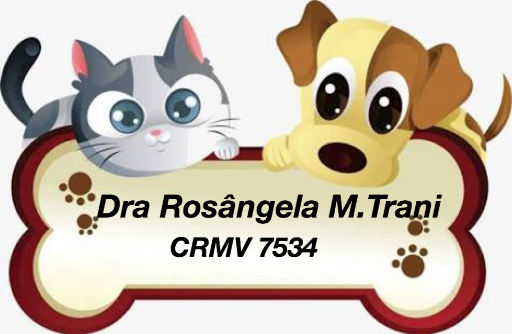 Imagem da Loja